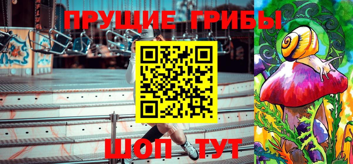 Сафоново  как найти   Вход с VPN  Псилоцибиновые грибы Psilocybine cubensis 